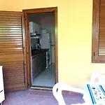 Saracena Amuri *